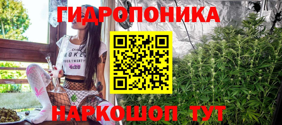 Марихуана THC 21%  Конопля AK-47  Вход с VPN  Бошки марихуана Bruce Banner  Азнакаево  Марихуана гибрид 